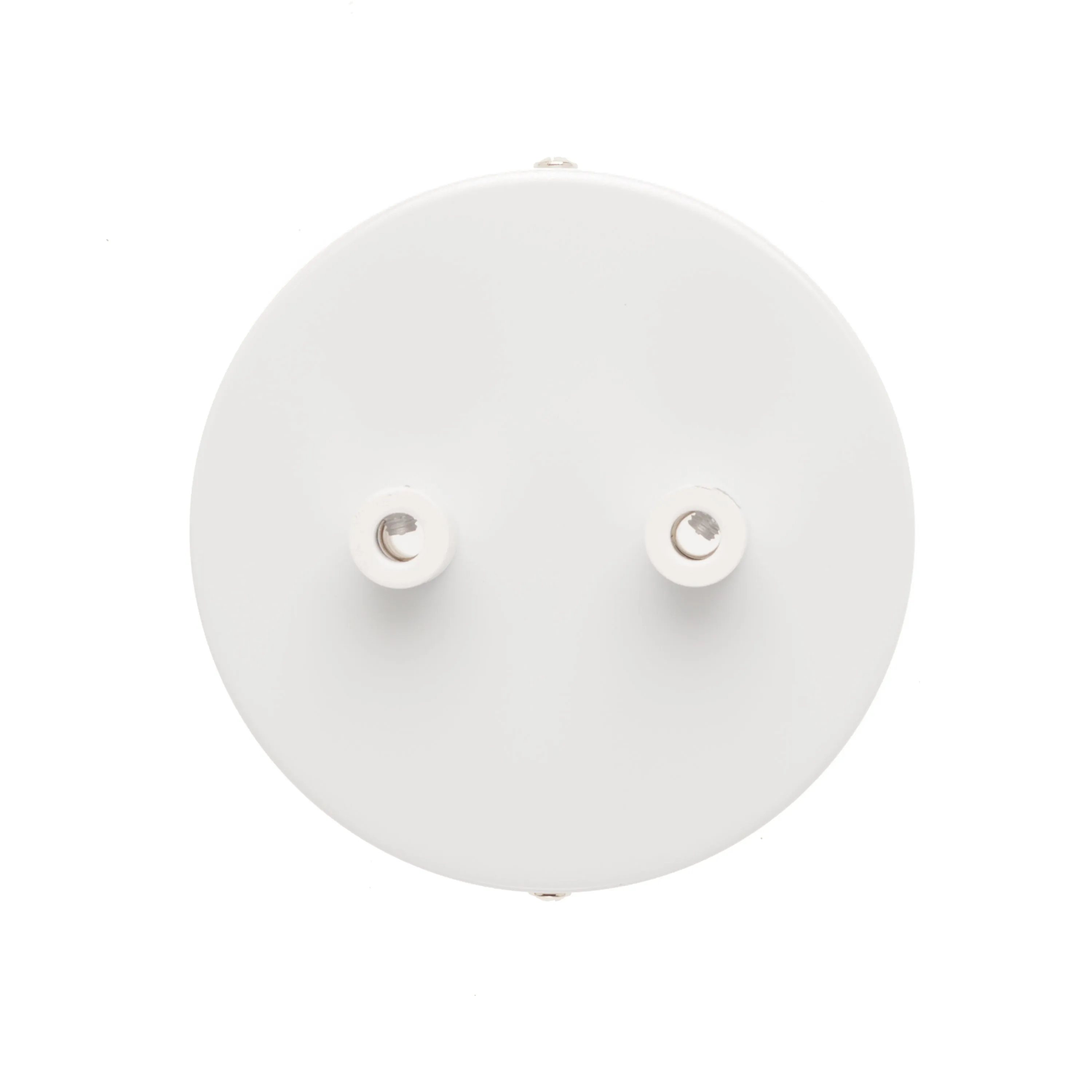 2-Port Ceiling Canopy - On Sale