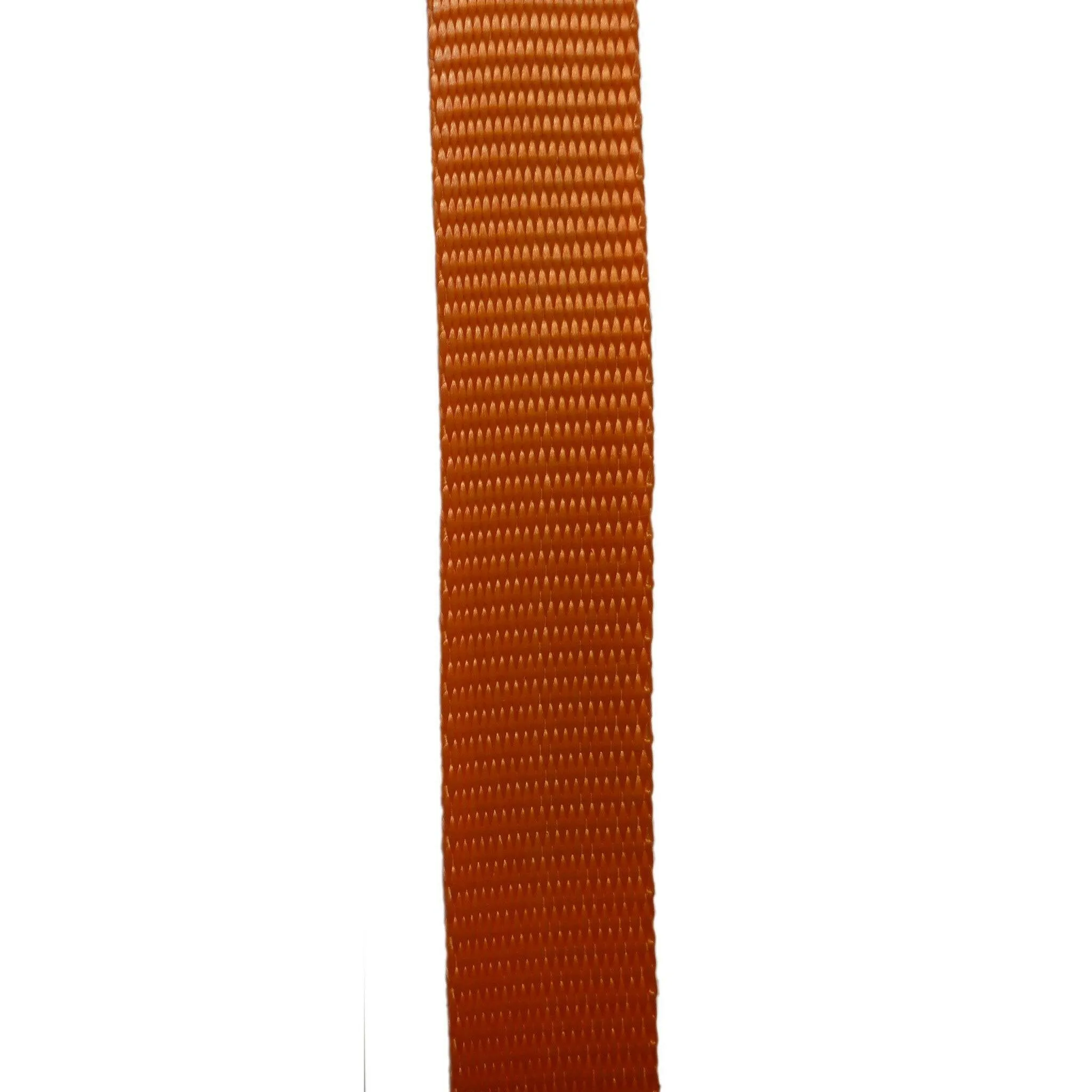 Lashing Webbing 25 mm
