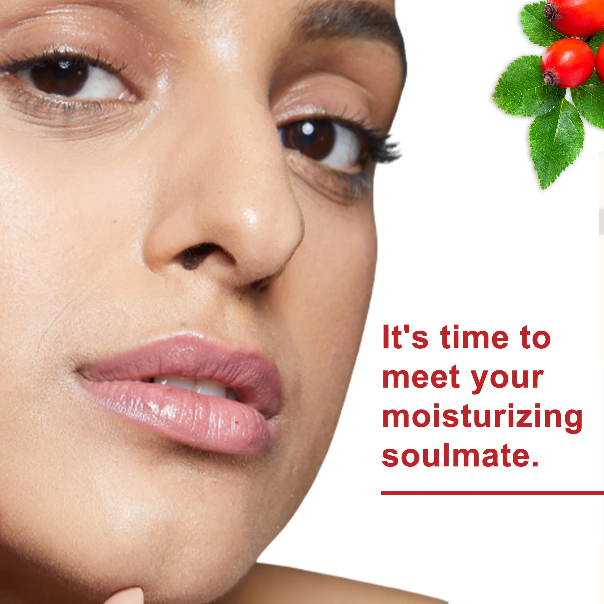 Rosehip Hydrating Face Gel