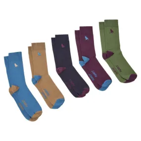 Schoffel Combed Cotton Mens Sock (Box of 5) - Ptarmigan Dark Teal Mix (UK7-11)