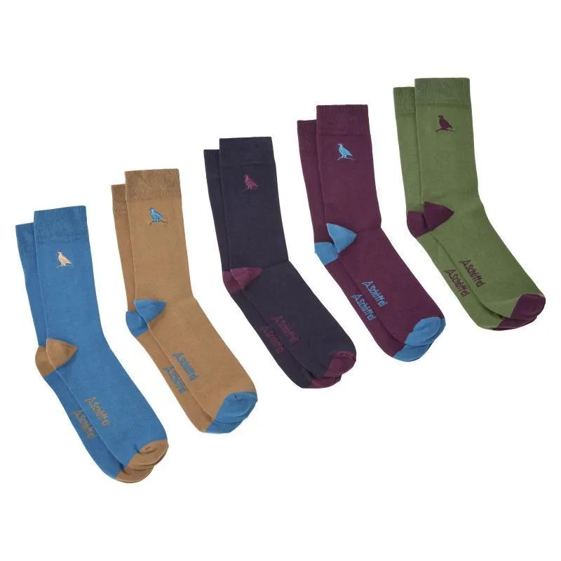 Schoffel Combed Cotton Mens Sock (Box of 5) - Ptarmigan Dark Teal Mix (UK7-11)