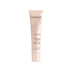 Teint Divin Mineral Tinted Moisturizer - Light To Medium Skin