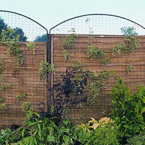 Wall Privacy Panels